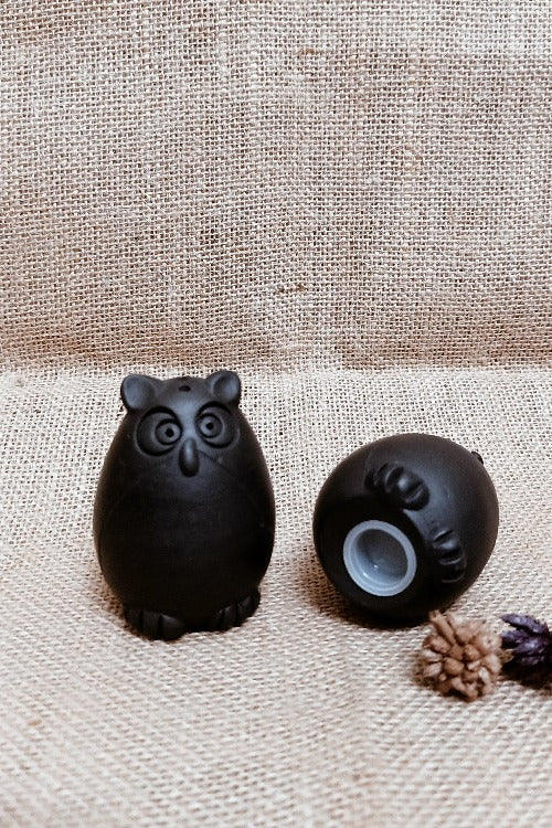 Terracotta by Sachii Nizamabad Collection Owl Salt-Pepper Shakers