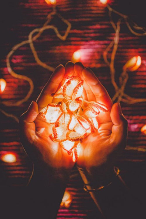 Samoolam Handmade Home Decor LED String Lights ~ Orange Lily Bougainvillea