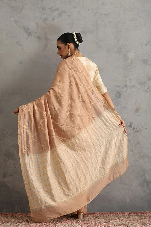 Shwet Women Hand Embroidered Chikankari Beige Chanderi Saree