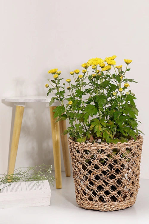 Greenkraft Lucknow Jaali Planter - Set Of 2