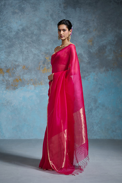 Dressfolk Palasha Organza Saree