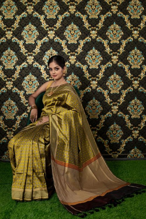 Brown Green Handloom Banarasi Pure Katan Silk Tanchoi Saree