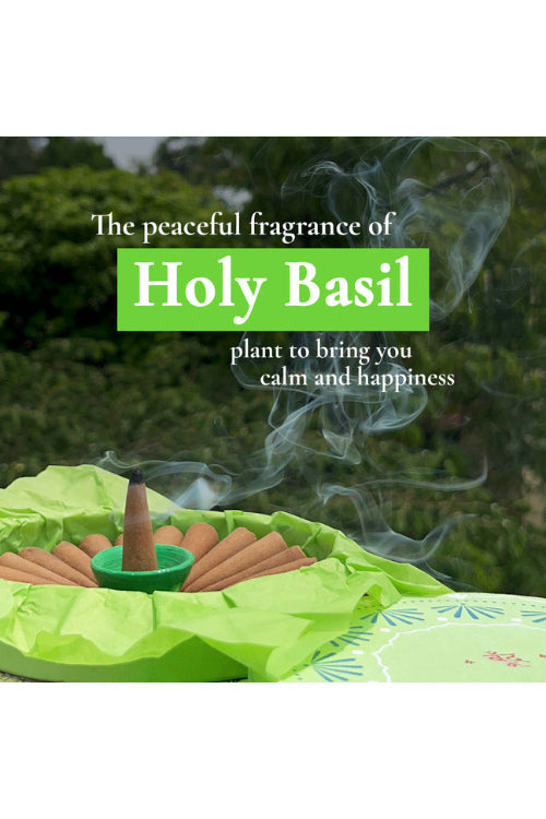 Boond Fragrances Tulsi Dhoop - Pure Holy Basil Incense Cones