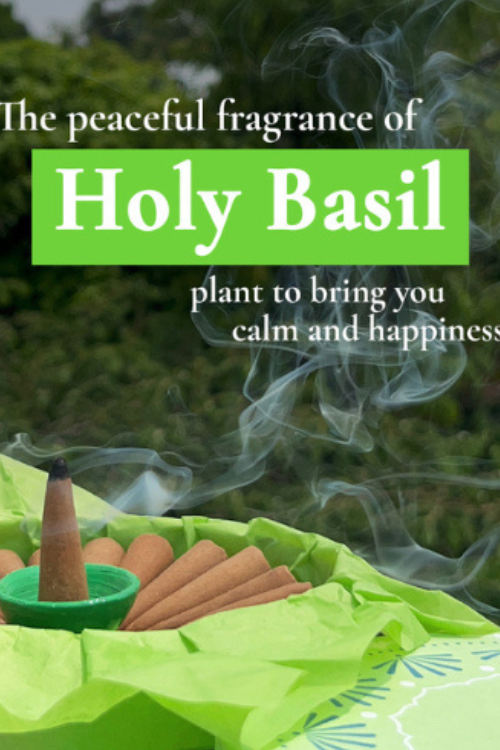 Boond Fragrances Tulsi Dhoop - Pure Holy Basil Incense Cones