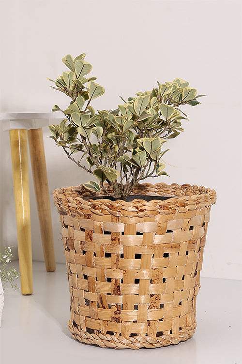 Greenkraft Jodhpur Dunes Planter - Set Of 2