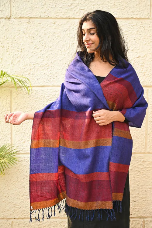 The ICH Fine, Soft Himachal Wool Striped Stole - Royal Blue And Multicolored