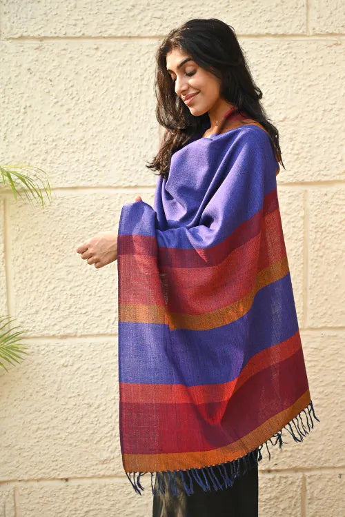 The ICH Fine, Soft Himachal Wool Striped Stole - Royal Blue And Multicolored