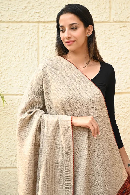 The ICH Exclusive Soft Himachal Wool Shawl With Woven Border - Almond Trail