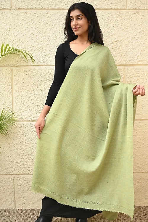 The ICH Fine, Soft Himachal Wool Self Striped Shawl - Mist Green