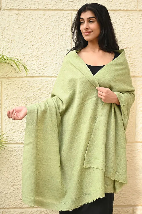 The ICH Fine, Soft Himachal Wool Self Striped Shawl - Mist Green