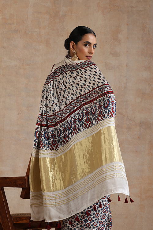 Jahangir Khatri - Bagru Ajrakh Modal Tissue Saree
