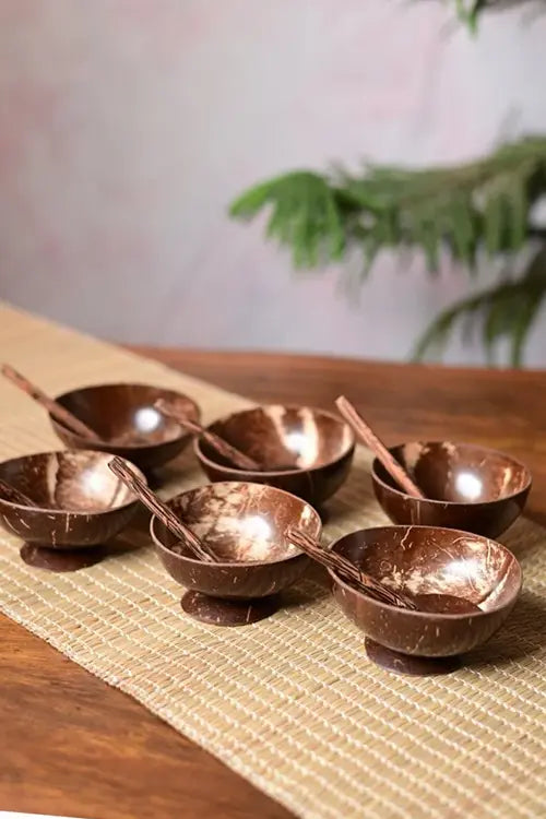 Kadam Haat Handmade Coconut Shell Bowl & Spoon Set