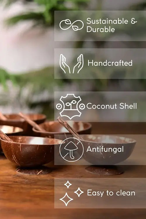 Kadam Haat Handmade Coconut Shell Bowl & Spoon Set