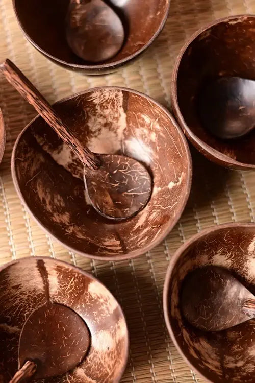 Kadam Haat Handmade Coconut Shell Bowl & Spoon Set