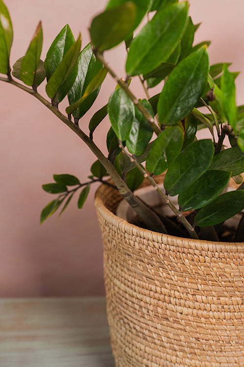 Kraftribe Grass Planter Bin