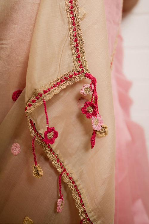 Samoolam Blush & Champagne Lavanya handwoven sarees