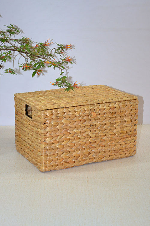 Dharini Water Hyacinth Rectangular Storage Box