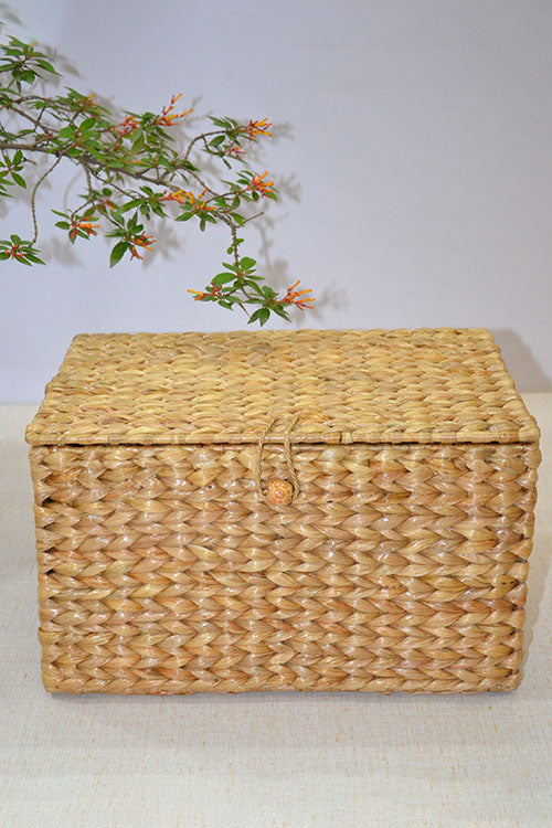 Dharini Water Hyacinth Rectangular Storage Box