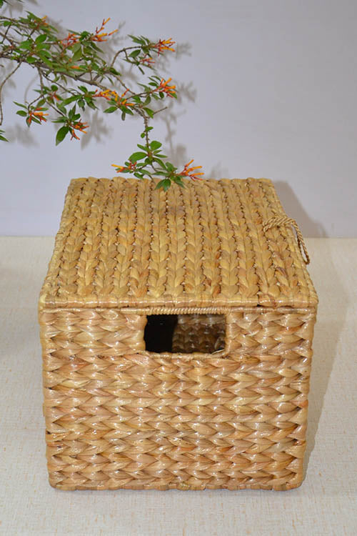 Dharini Water Hyacinth Rectangular Storage Box