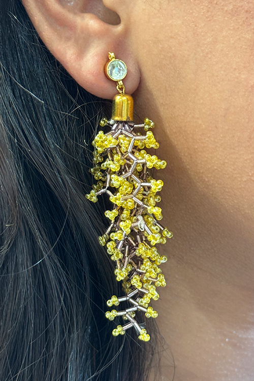 Antarang- Mystic Coral Earrings
