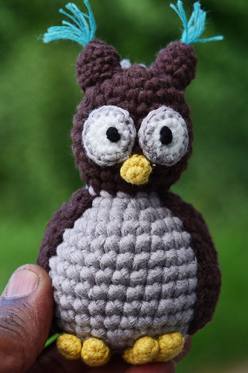 Himalayan Blooms Rakhi,Owl Toys