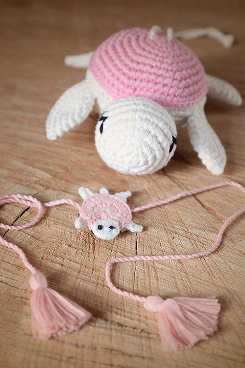 Himalayan Blooms Rakhi,Turtle Toys