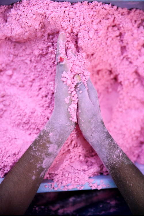 Petalists Eco-Friendly Holi Colour Pink