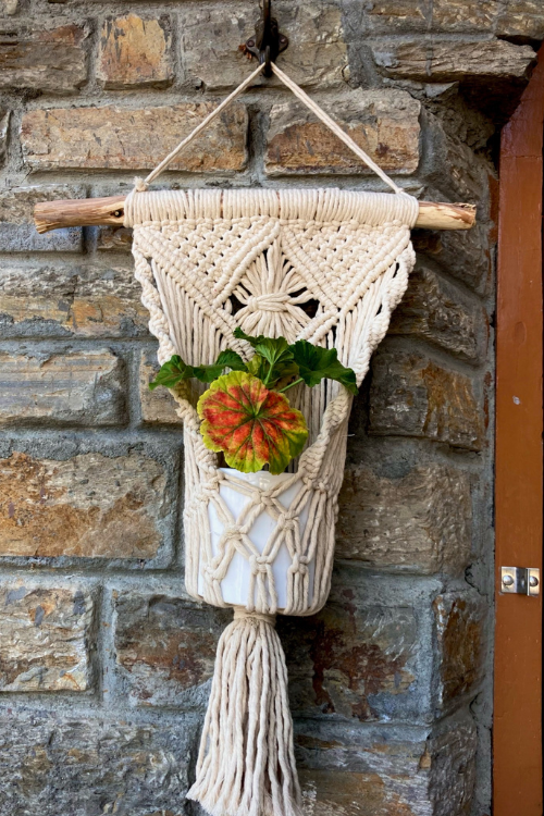 Parvati Plant Hanger