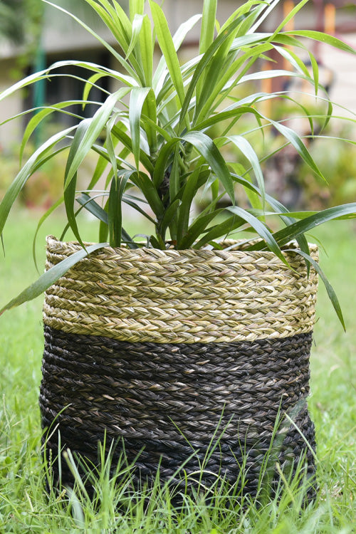 Handmade Sabai Grass Planter Large (Black)