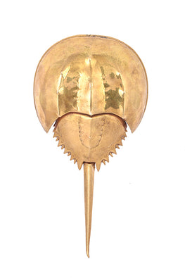 Anantaya Horseshoe Crab Bottle Opener