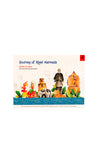 Educational Colouring Kit Learning Activity about Rivers Of India (River Narmada)