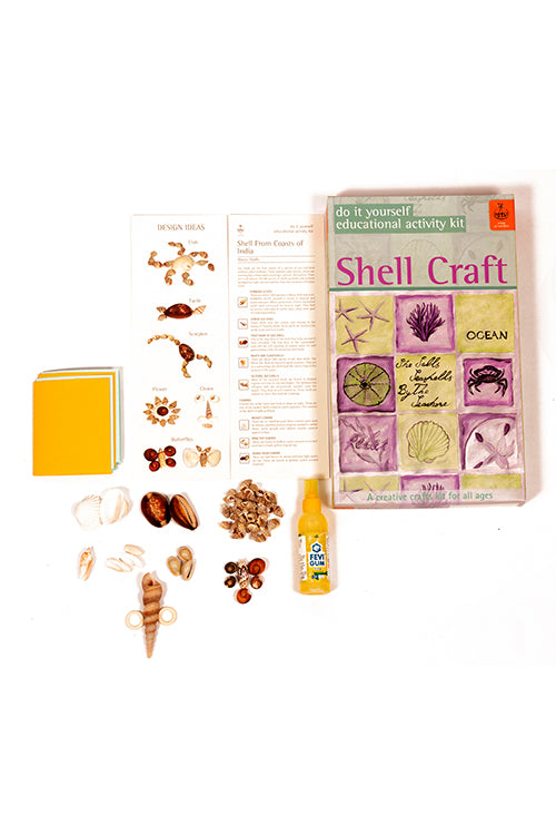 DIY Educational Toys - Shell Craft Kit