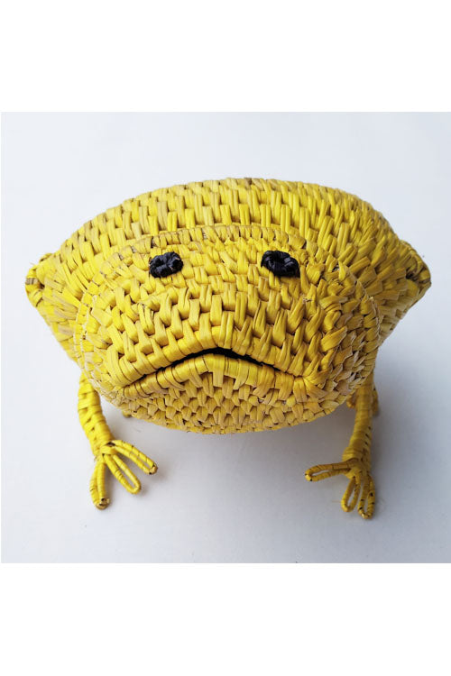 Handcrafted-Sikki-grass-Frog-Container