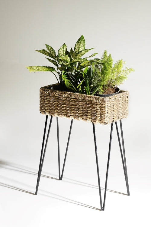 Sirohi Faye - Contemporary Organizer