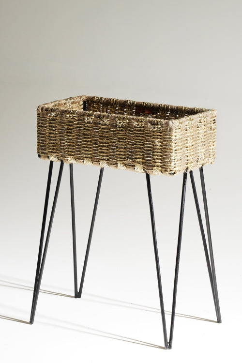 Sirohi Faye - Contemporary Organizer