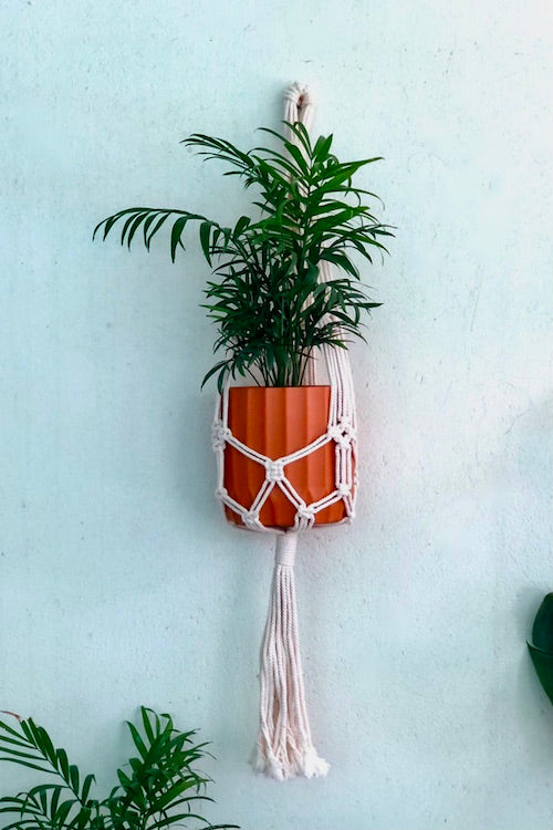 HoM Handcrafted Macrame 'Bali' Plant Hanger