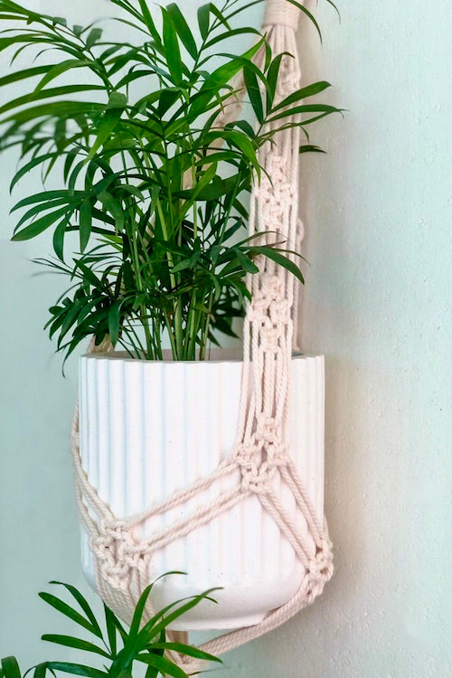 Single Tier Macrame top Plant Hanger