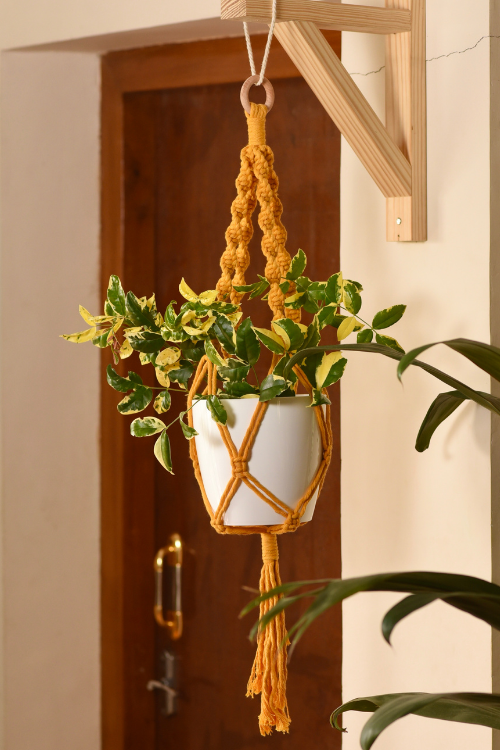Macrame DIY Craft Kit | Plant Hanger | Marigold Yellow