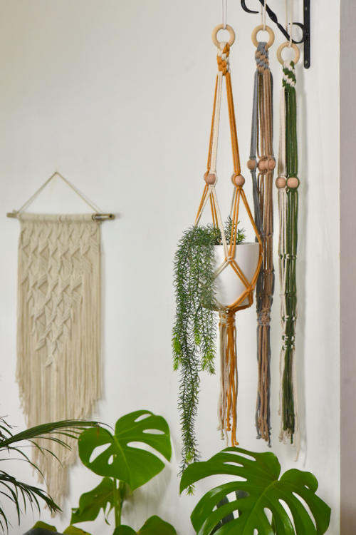Indian Yards ‘Daisy’ Macrame Cotton Set Of 3 Plant Hangers