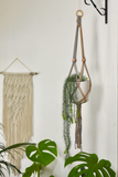Indian Yards ‘Daisy’ Macrame Cotton Set Of 3 Plant Hangers