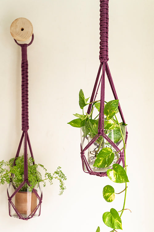 108Knots Classic Hand-Knotted 100% Cotton Plant Hanger