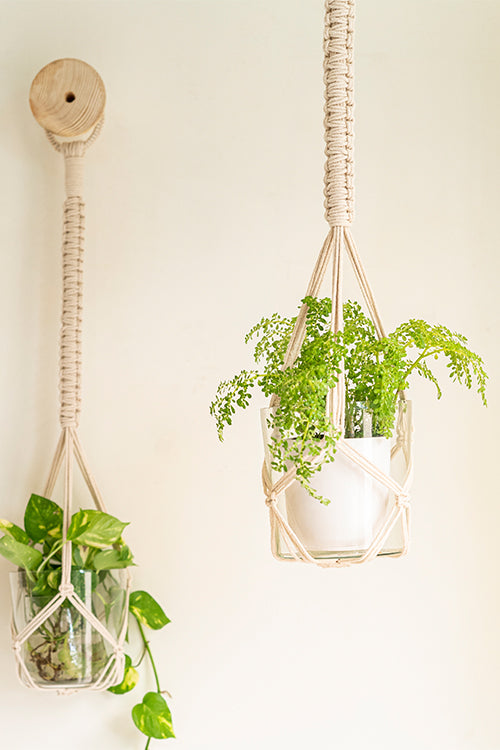 108Knots Classic Hand-Knotted 100% Cotton Plant Hanger