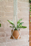 108Knots Classic Wide Hand-Knotted 100% Cotton Plant Hanger