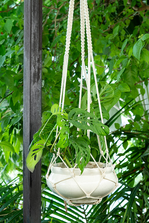 108Knots Pretty Simple Hand-Knotted 100% Cotton Plant Hanger