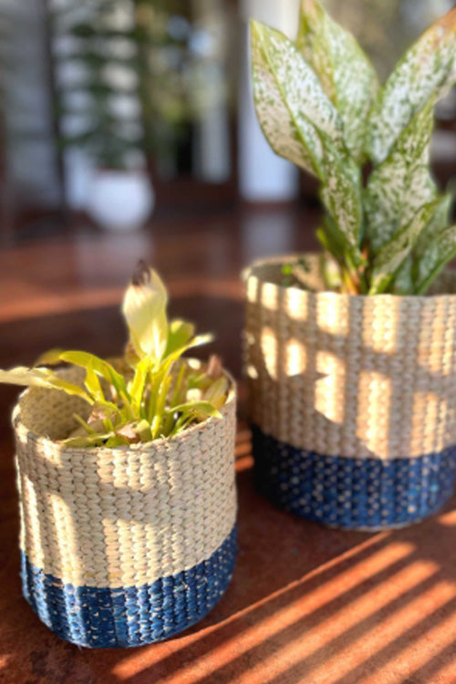 Handcrafted Kauna  Diagonal Weave Planter 8"- Colorblcok