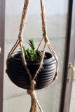 Terracota By Sachii "Hanging Planter Single"