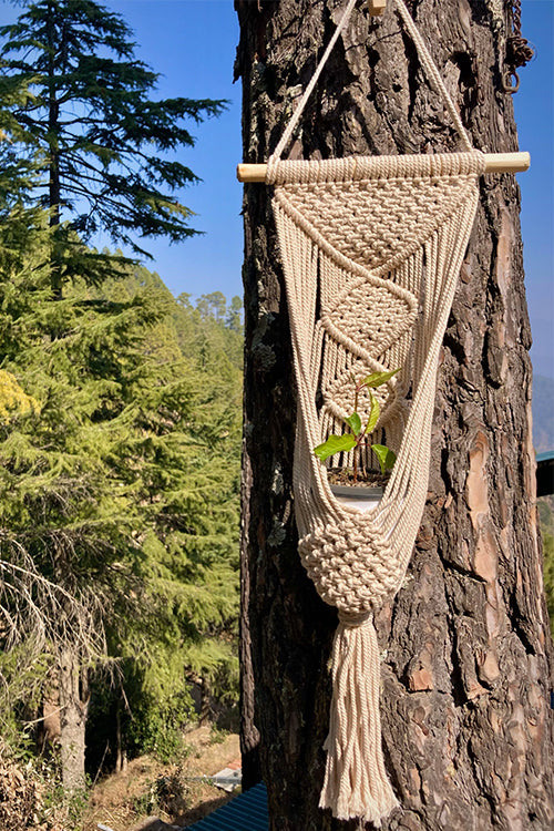 Girija Plant Hanger