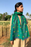 Shrujan Green Pakko Hand Embroidered Cotton Stole Online