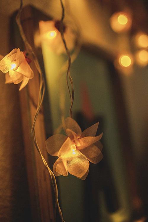 Samoolam Handmade Home Decor LED String Lights ~ Pink Rose with Hearts
