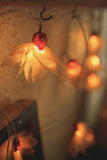 Samoolam Handmade Home Decor LED String Lights ~ Orange Petals with Hearts